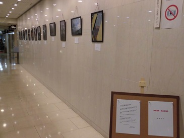 磐梯吾妻・蔵王を撮るの展示の写真