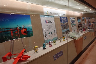 展示の写真