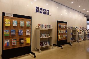 展示の写真