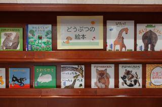 展示の写真