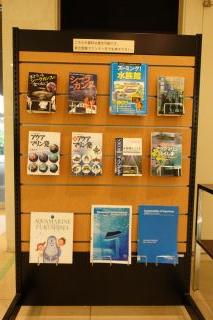 関連展示の写真