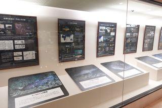 展示の写真